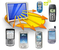 Web Development in india